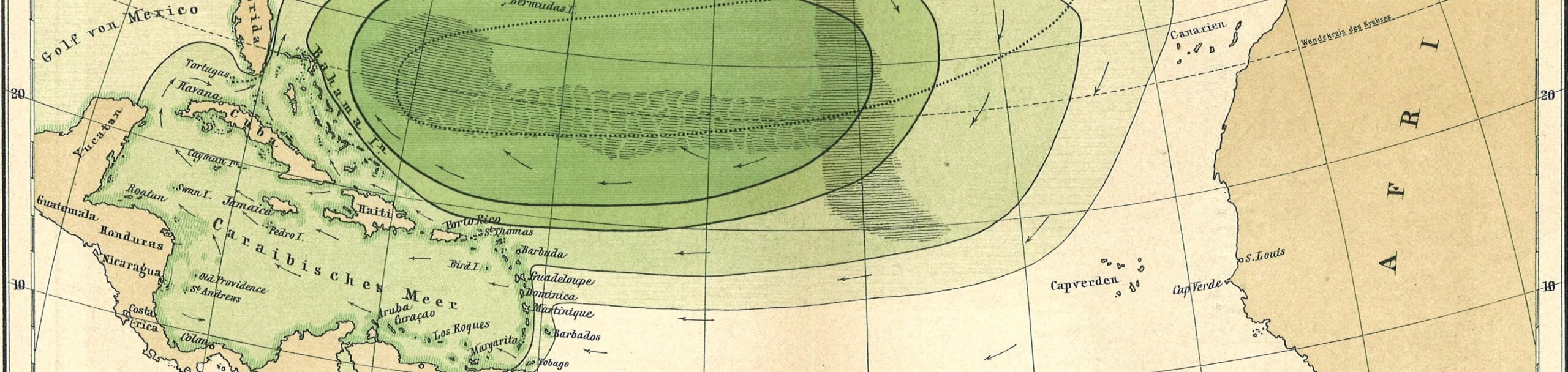 The Sargasso Sea by Professor Dr. Otto Krummel. In: Petermann's Geographische Mitteilungen 1891. Graphic 10.
