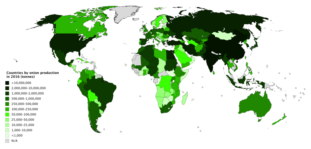 A choropleth map of the world showing countries by onion production in 2016.